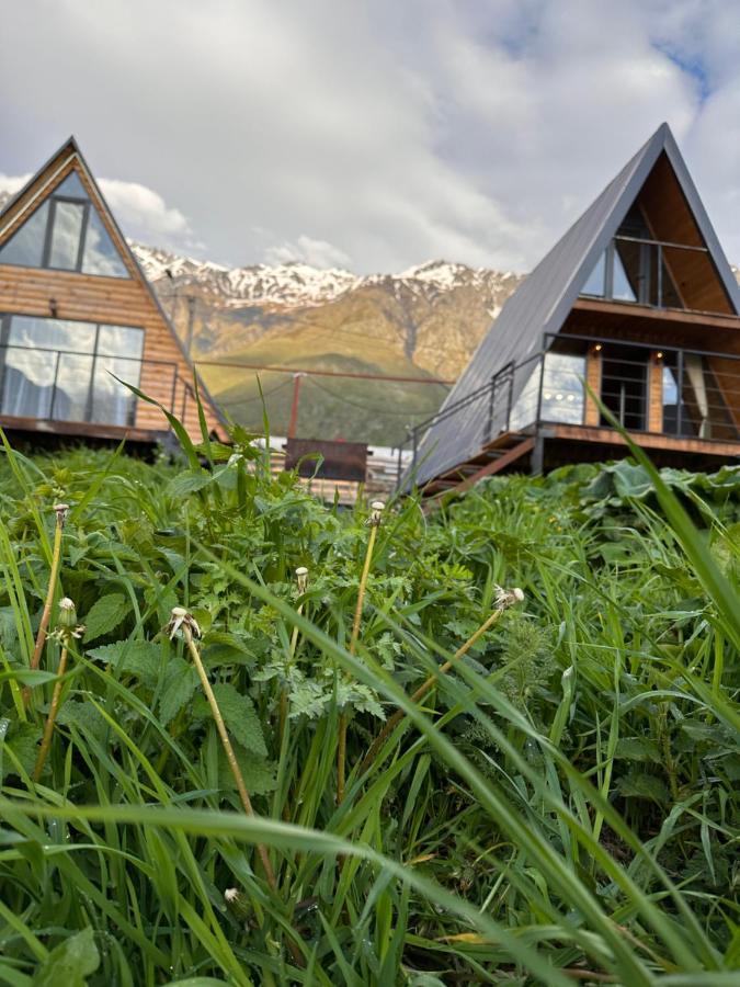 Alagi Cottage Kazbegi Exterior foto
